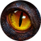 Age of Dino