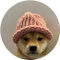 dogwifhat icon